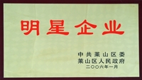 2006年莱山区明星企业