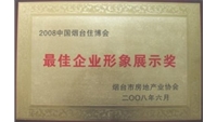 2008年最佳企业形象展示奖